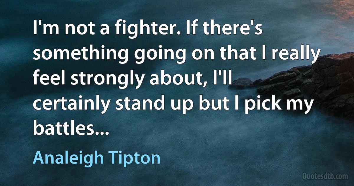 I'm not a fighter. If there's something going on that I really feel strongly about, I'll certainly stand up but I pick my battles... (Analeigh Tipton)