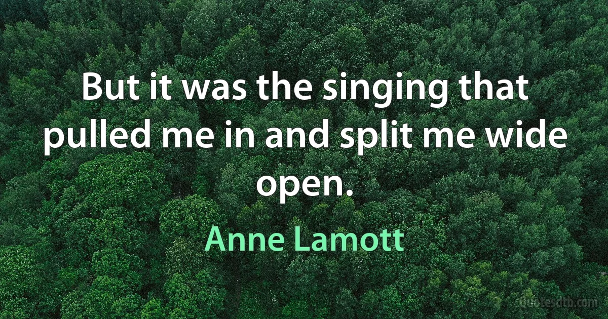 But it was the singing that pulled me in and split me wide open. (Anne Lamott)