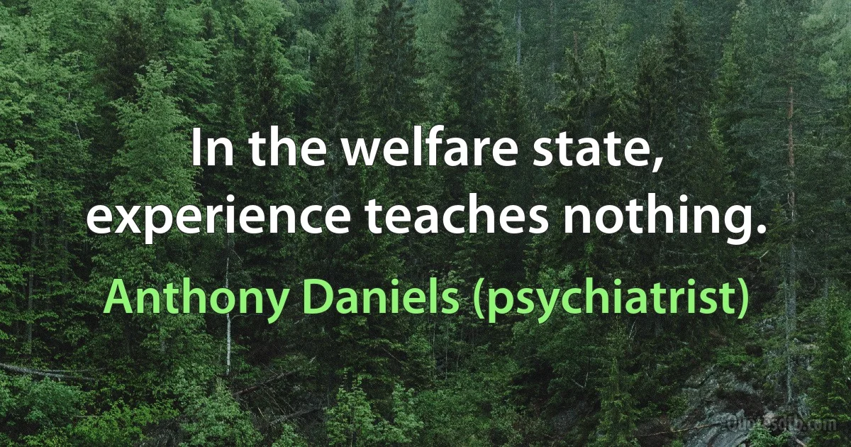 In the welfare state, experience teaches nothing. (Anthony Daniels (psychiatrist))