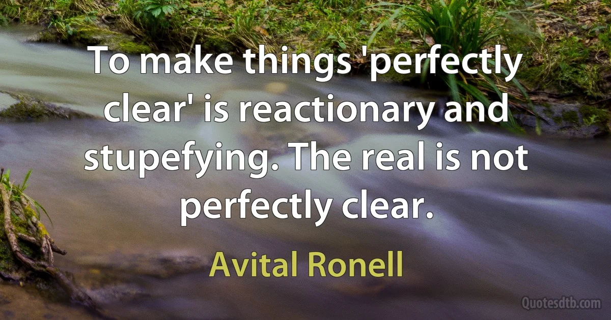 To make things 'perfectly clear' is reactionary and stupefying. The real is not perfectly clear. (Avital Ronell)