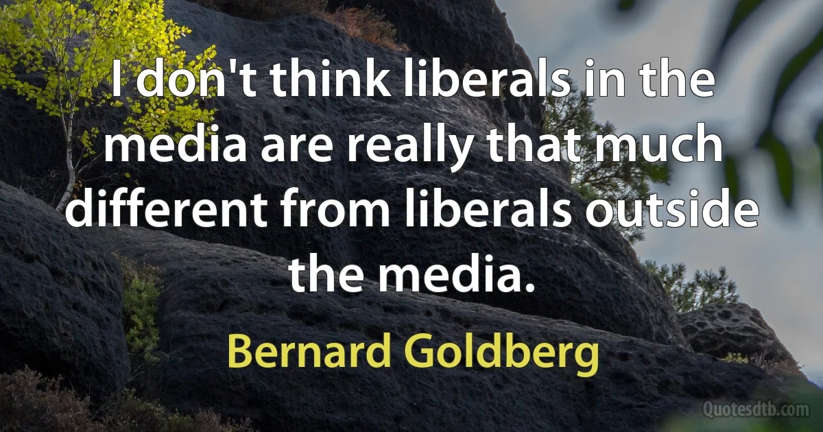 I don't think liberals in the media are really that much different from liberals outside the media. (Bernard Goldberg)