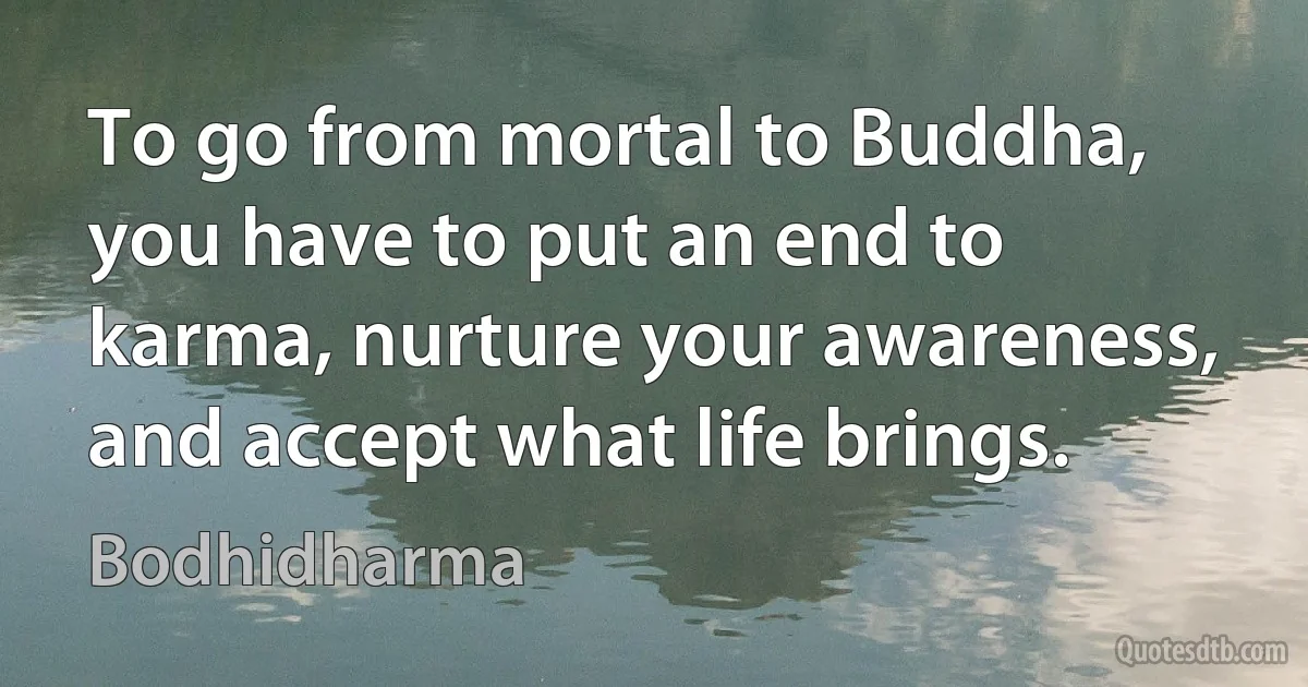 To go from mortal to Buddha, you have to put an end to karma, nurture your awareness, and accept what life brings. (Bodhidharma)