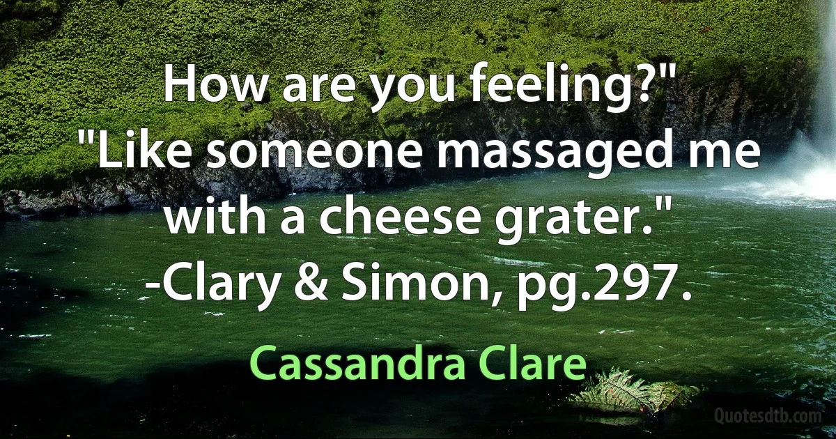 How are you feeling?"
"Like someone massaged me with a cheese grater."
-Clary & Simon, pg.297. (Cassandra Clare)