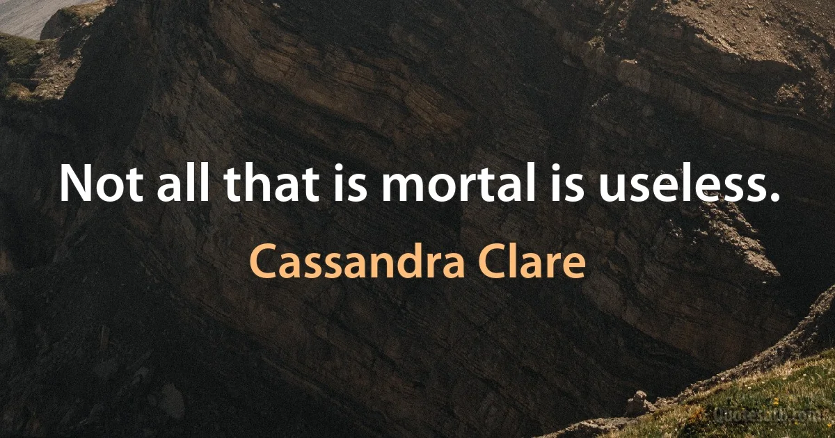 Not all that is mortal is useless. (Cassandra Clare)