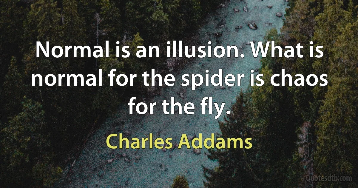 Normal is an illusion. What is normal for the spider is chaos for the fly. (Charles Addams)