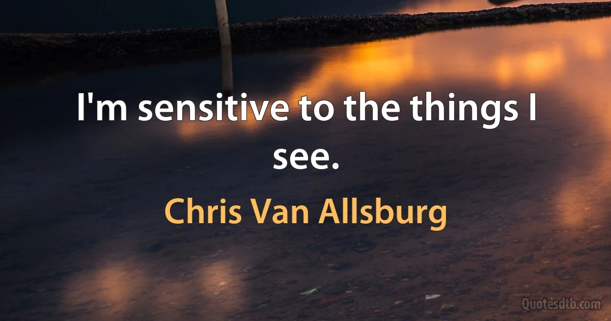 I'm sensitive to the things I see. (Chris Van Allsburg)