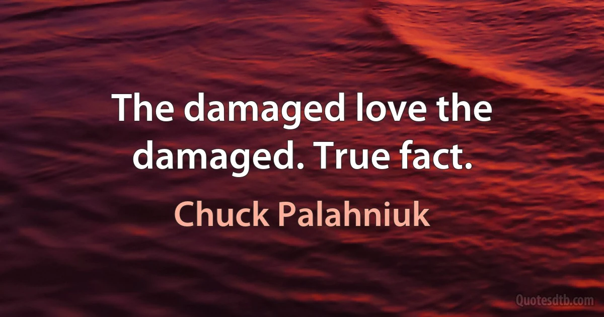 The damaged love the damaged. True fact. (Chuck Palahniuk)