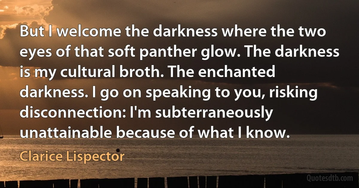 But I welcome the darkness where the two eyes of that soft panther glow. The darkness is my cultural broth. The enchanted darkness. I go on speaking to you, risking disconnection: I'm subterraneously unattainable because of what I know. (Clarice Lispector)