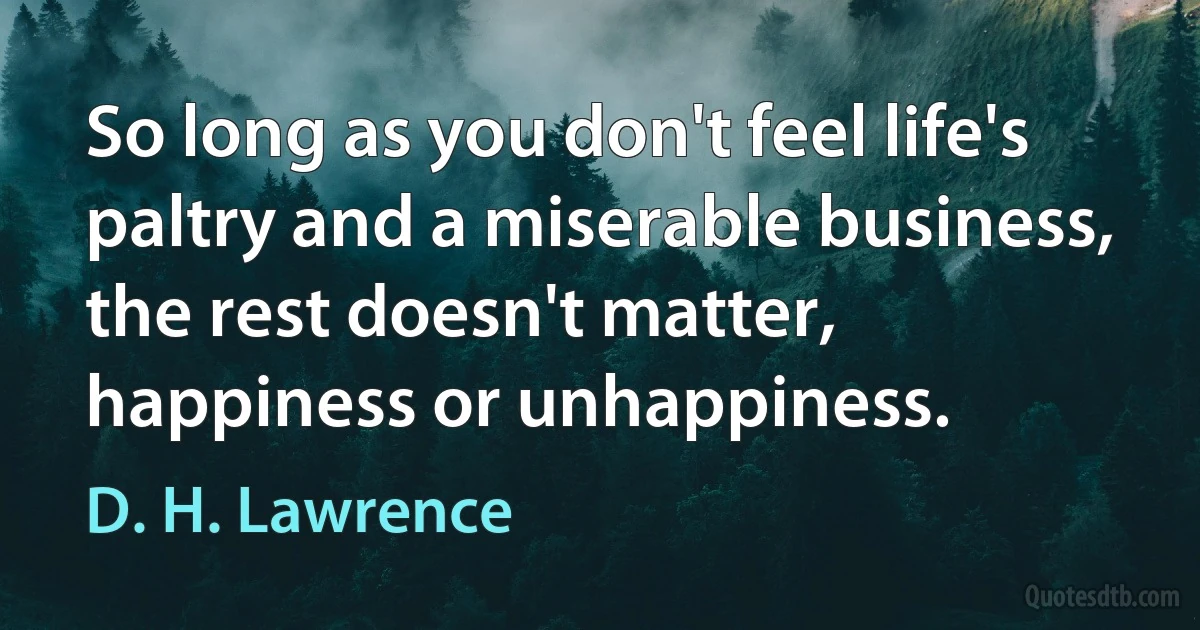 So long as you don't feel life's paltry and a miserable business, the rest doesn't matter, happiness or unhappiness. (D. H. Lawrence)