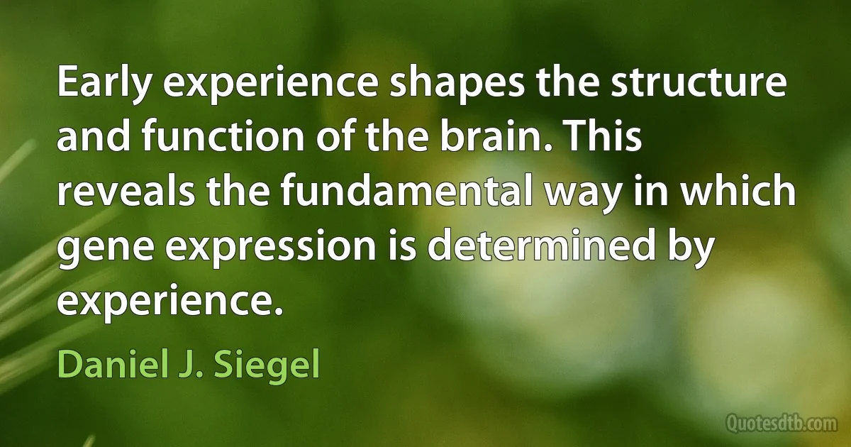 Early experience shapes the structure and function of the brain. This reveals the fundamental way in which gene expression is determined by experience. (Daniel J. Siegel)