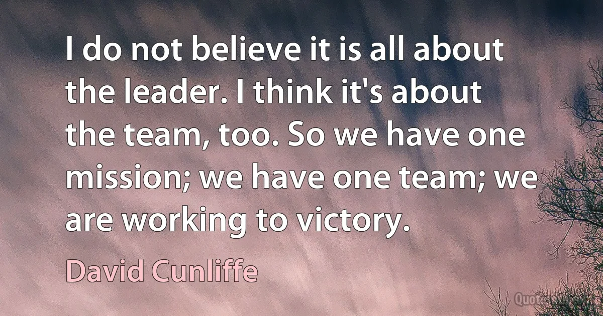 I do not believe it is all about the leader. I think it's about the team, too. So we have one mission; we have one team; we are working to victory. (David Cunliffe)