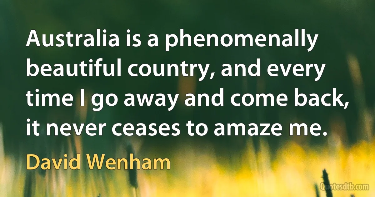 Australia is a phenomenally beautiful country, and every time I go away and come back, it never ceases to amaze me. (David Wenham)