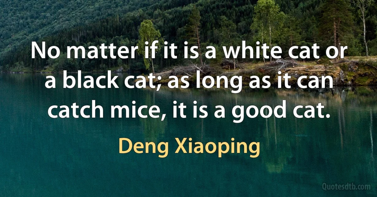 No matter if it is a white cat or a black cat; as long as it can catch mice, it is a good cat. (Deng Xiaoping)