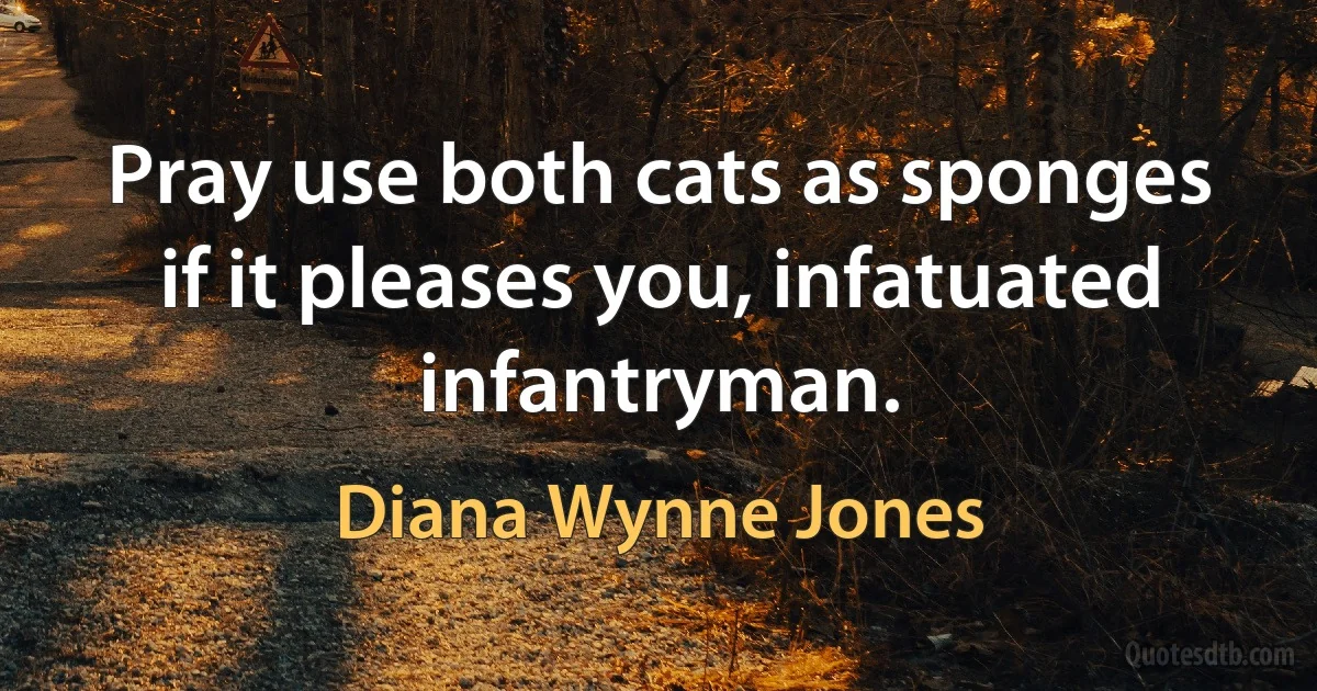 Pray use both cats as sponges if it pleases you, infatuated infantryman. (Diana Wynne Jones)