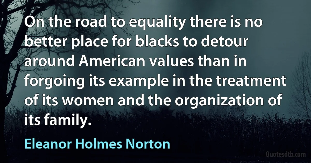 On the road to equality there is no better place for blacks to detour around American values than in forgoing its example in the treatment of its women and the organization of its family. (Eleanor Holmes Norton)