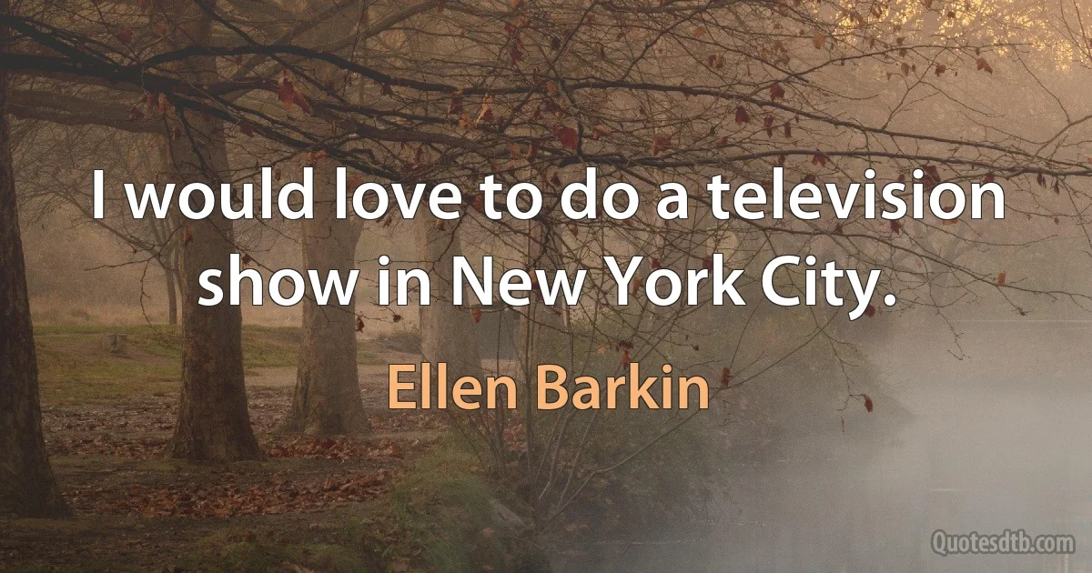 I would love to do a television show in New York City. (Ellen Barkin)