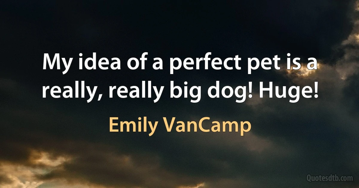 My idea of a perfect pet is a really, really big dog! Huge! (Emily VanCamp)