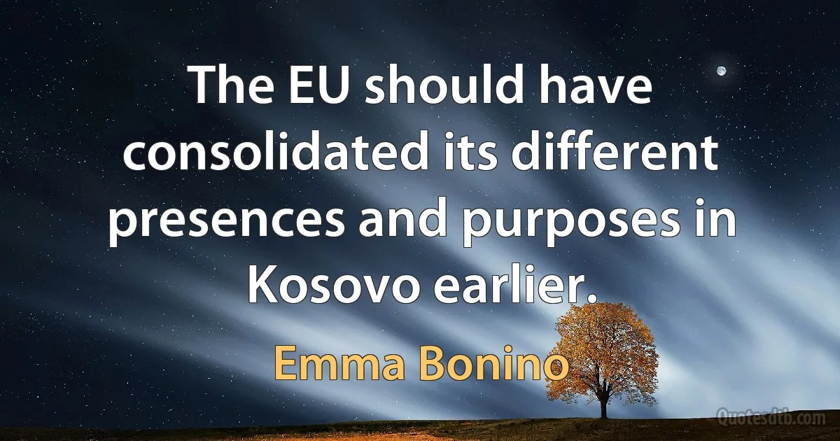 The EU should have consolidated its different presences and purposes in Kosovo earlier. (Emma Bonino)