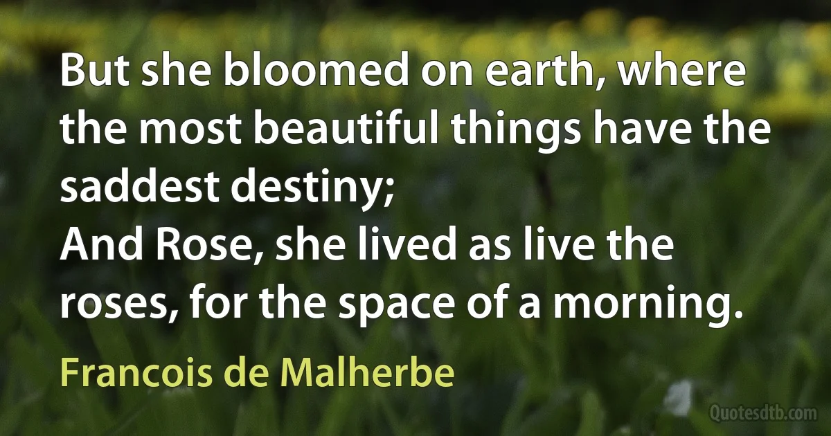 But she bloomed on earth, where the most beautiful things have the saddest destiny;
And Rose, she lived as live the roses, for the space of a morning. (Francois de Malherbe)