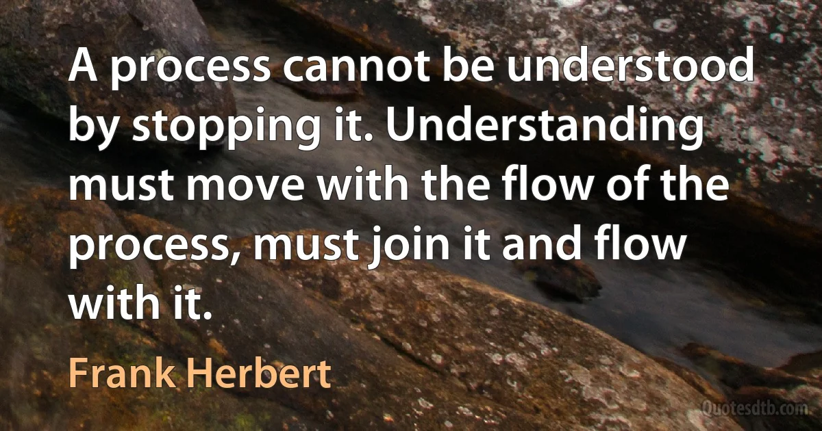 A process cannot be understood by stopping it. Understanding must move with the flow of the process, must join it and flow with it. (Frank Herbert)