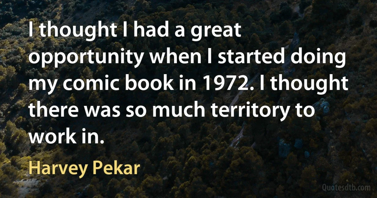 I thought I had a great opportunity when I started doing my comic book in 1972. I thought there was so much territory to work in. (Harvey Pekar)