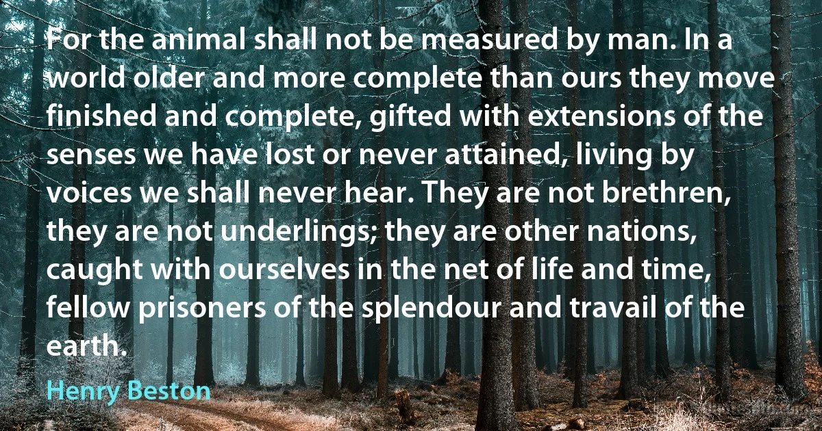 For the animal shall not be measured by man. In a world older and more complete than ours they move finished and complete, gifted with extensions of the senses we have lost or never attained, living by voices we shall never hear. They are not brethren, they are not underlings; they are other nations, caught with ourselves in the net of life and time, fellow prisoners of the splendour and travail of the earth. (Henry Beston)