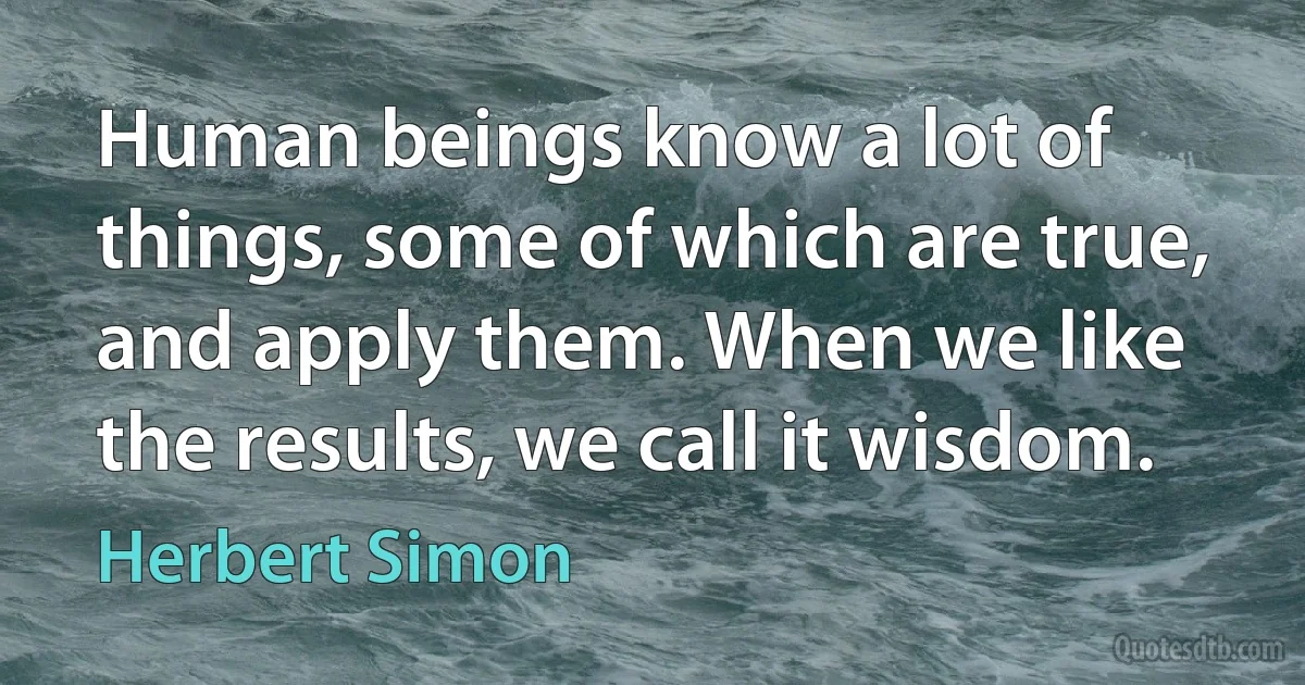 Human beings know a lot of things, some of which are true, and apply them. When we like the results, we call it wisdom. (Herbert Simon)