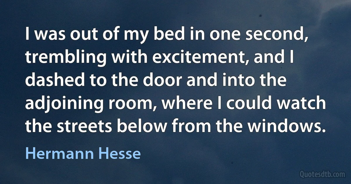 I was out of my bed in one second, trembling with excitement, and I dashed to the door and into the adjoining room, where I could watch the streets below from the windows. (Hermann Hesse)