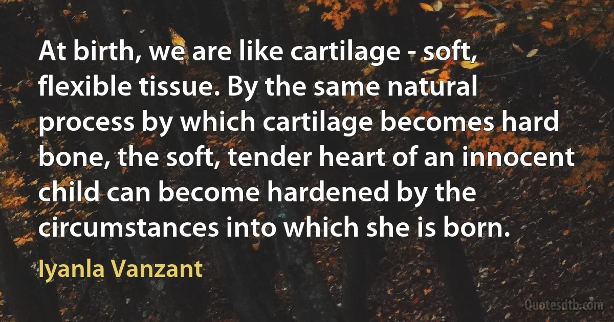 At birth, we are like cartilage - soft, flexible tissue. By the same natural process by which cartilage becomes hard bone, the soft, tender heart of an innocent child can become hardened by the circumstances into which she is born. (Iyanla Vanzant)