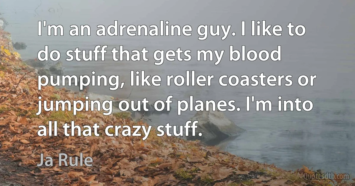 I'm an adrenaline guy. I like to do stuff that gets my blood pumping, like roller coasters or jumping out of planes. I'm into all that crazy stuff. (Ja Rule)