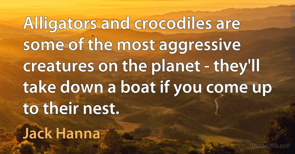 Alligators and crocodiles are some of the most aggressive creatures on the planet - they'll take down a boat if you come up to their nest. (Jack Hanna)