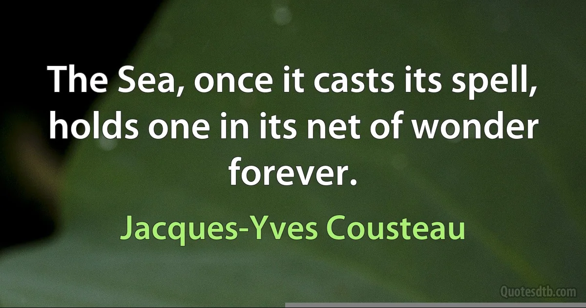 The Sea, once it casts its spell, holds one in its net of wonder forever. (Jacques-Yves Cousteau)