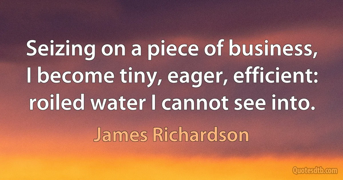 Seizing on a piece of business, I become tiny, eager, efficient: roiled water I cannot see into. (James Richardson)