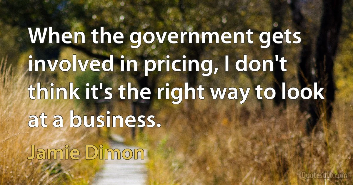 When the government gets involved in pricing, I don't think it's the right way to look at a business. (Jamie Dimon)