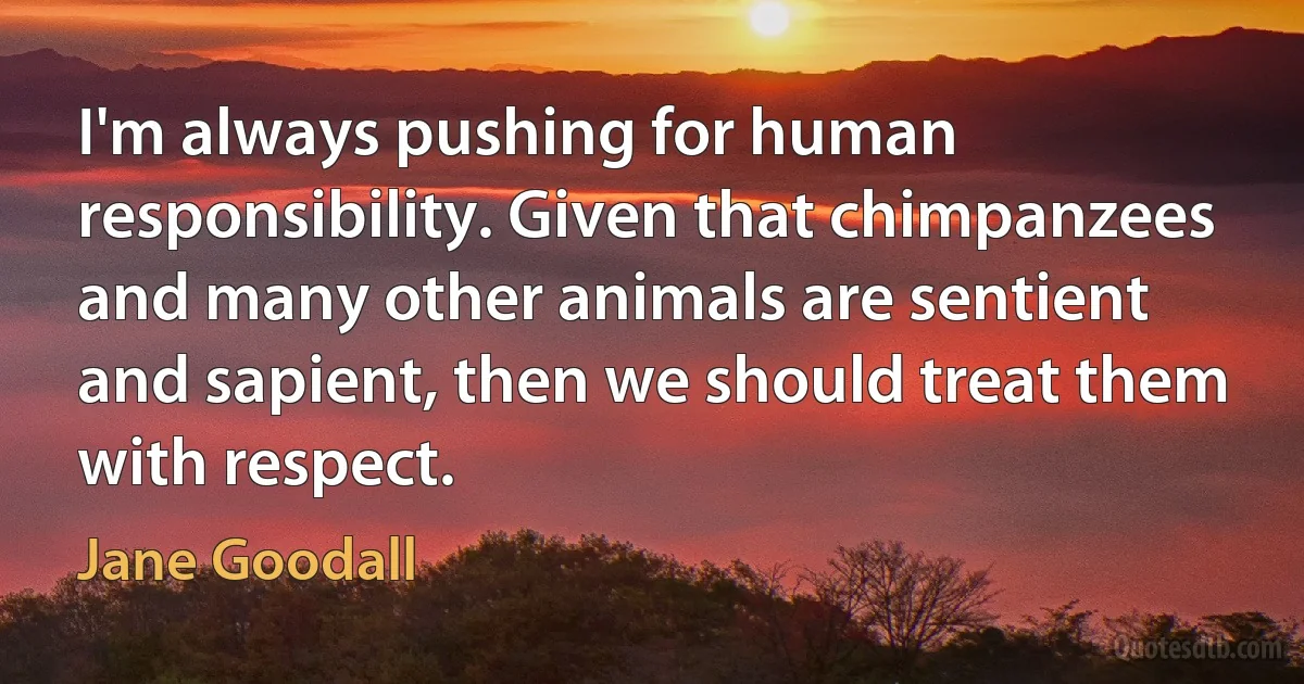 I'm always pushing for human responsibility. Given that chimpanzees and many other animals are sentient and sapient, then we should treat them with respect. (Jane Goodall)