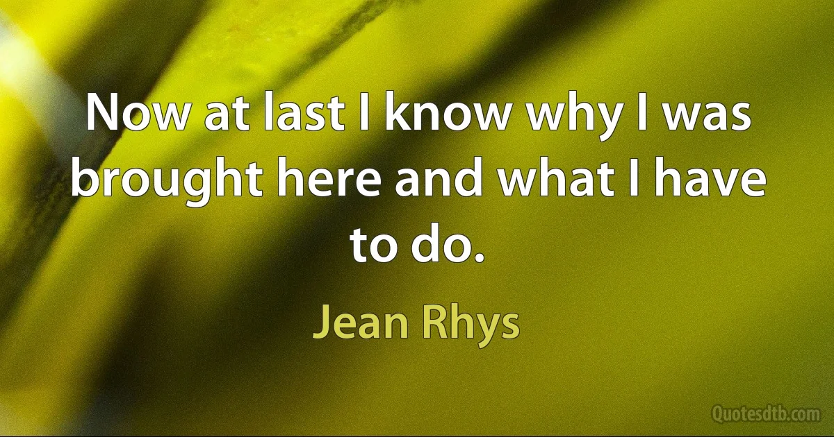 Now at last I know why I was brought here and what I have to do. (Jean Rhys)