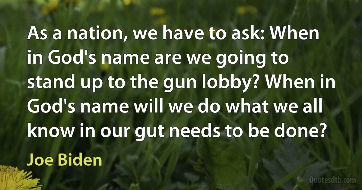 As a nation, we have to ask: When in God's name are we going to stand up to the gun lobby? When in God's name will we do what we all know in our gut needs to be done? (Joe Biden)