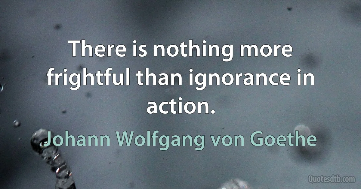 There is nothing more frightful than ignorance in action. (Johann Wolfgang von Goethe)