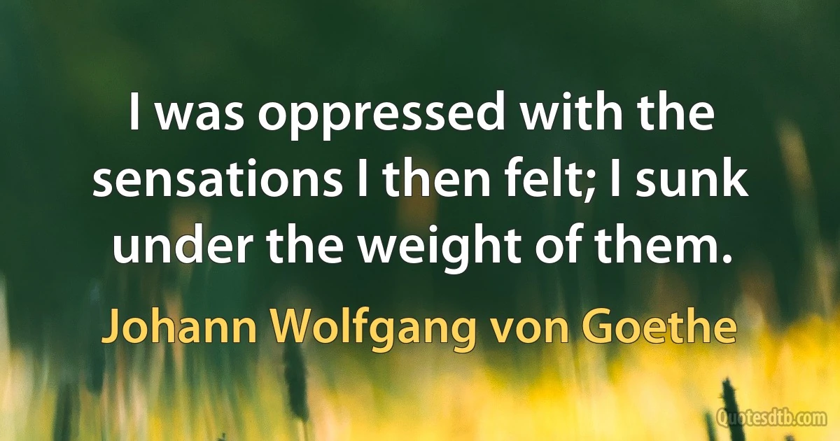 I was oppressed with the sensations I then felt; I sunk under the weight of them. (Johann Wolfgang von Goethe)