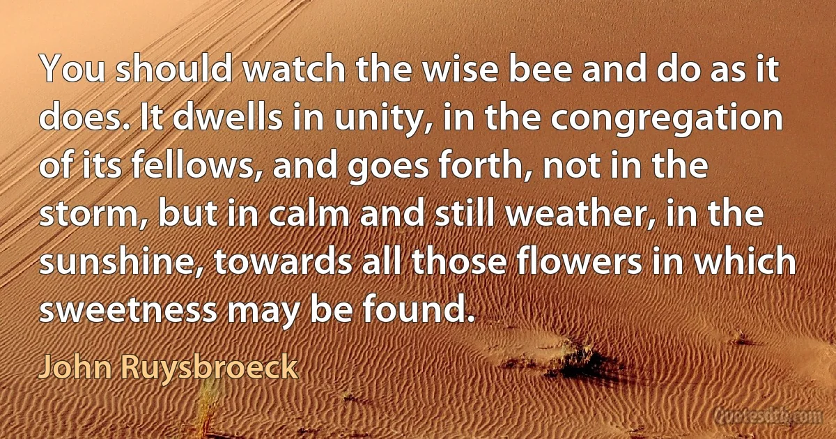 You should watch the wise bee and do as it does. It dwells in unity, in the congregation of its fellows, and goes forth, not in the storm, but in calm and still weather, in the sunshine, towards all those flowers in which sweetness may be found. (John Ruysbroeck)