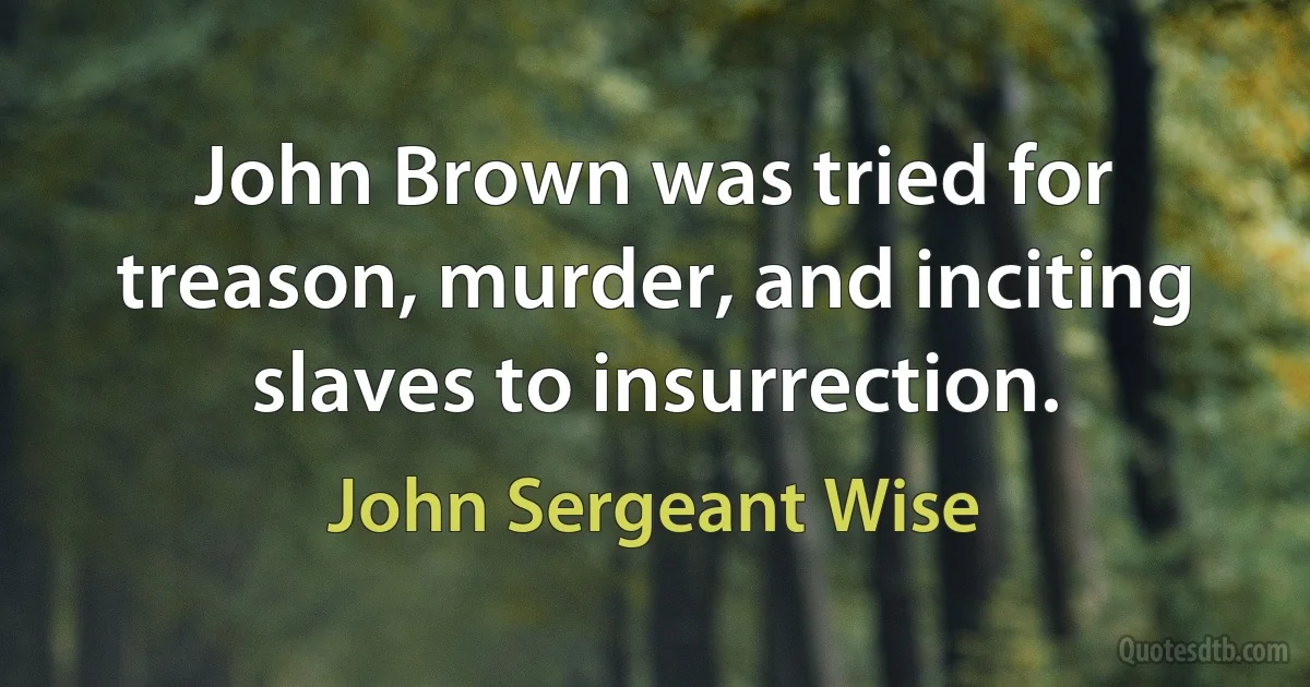 John Brown was tried for treason, murder, and inciting slaves to insurrection. (John Sergeant Wise)