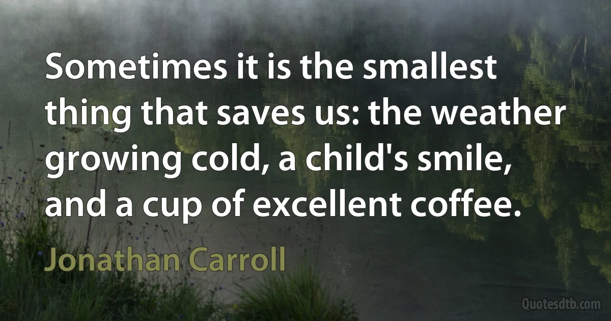 Sometimes it is the smallest thing that saves us: the weather growing cold, a child's smile, and a cup of excellent coffee. (Jonathan Carroll)