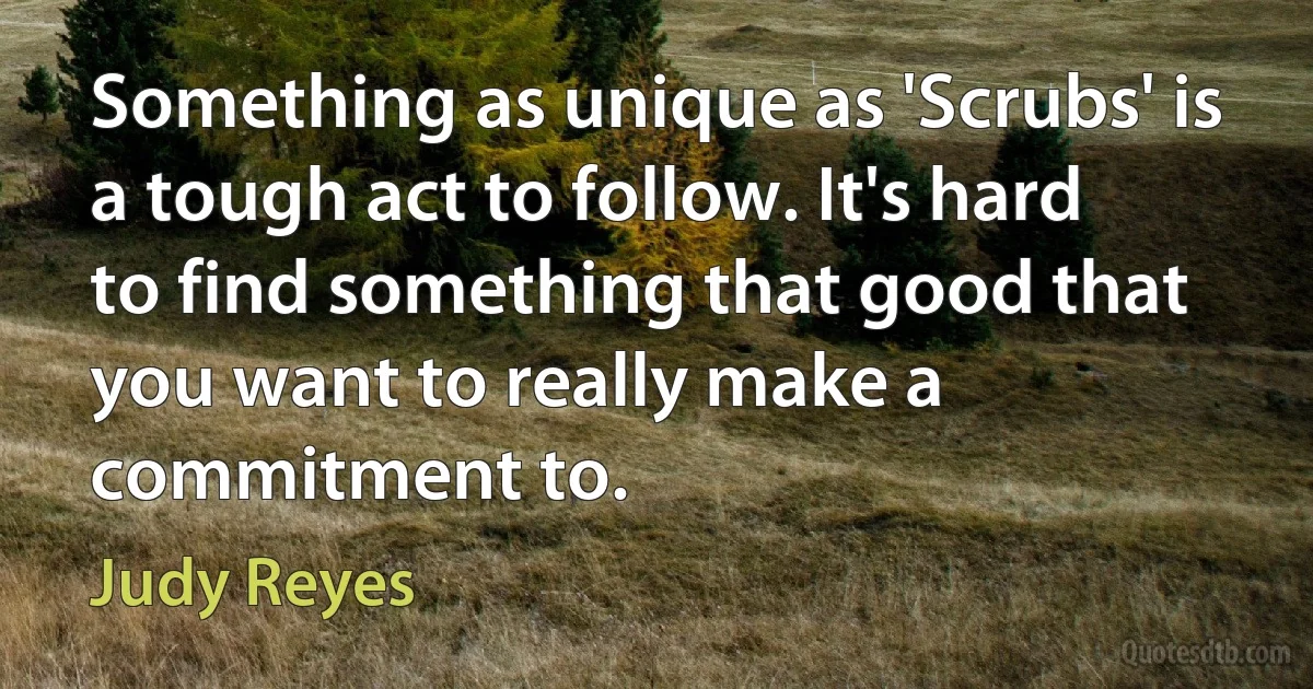 Something as unique as 'Scrubs' is a tough act to follow. It's hard to find something that good that you want to really make a commitment to. (Judy Reyes)