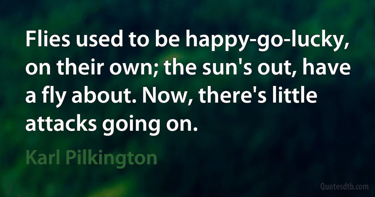 Flies used to be happy-go-lucky, on their own; the sun's out, have a fly about. Now, there's little attacks going on. (Karl Pilkington)