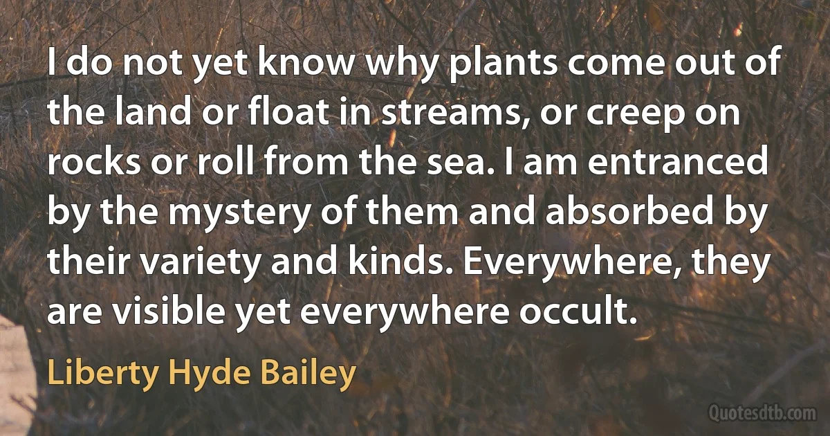 I do not yet know why plants come out of the land or float in streams, or creep on rocks or roll from the sea. I am entranced by the mystery of them and absorbed by their variety and kinds. Everywhere, they are visible yet everywhere occult. (Liberty Hyde Bailey)