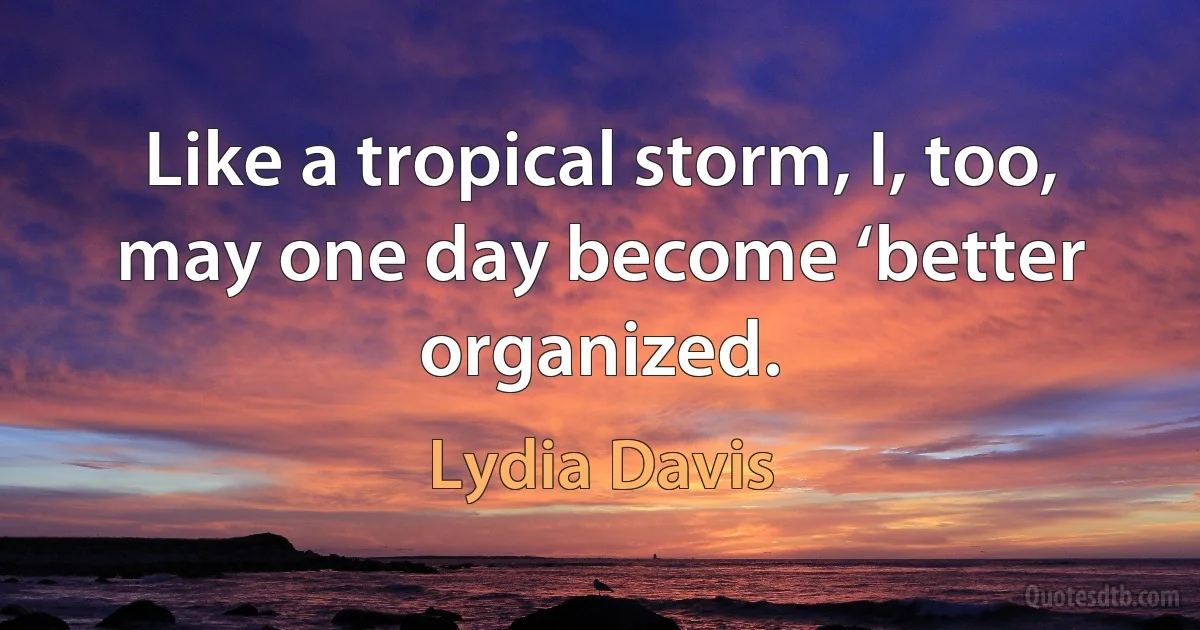 Like a tropical storm, I, too, may one day become ‘better organized. (Lydia Davis)