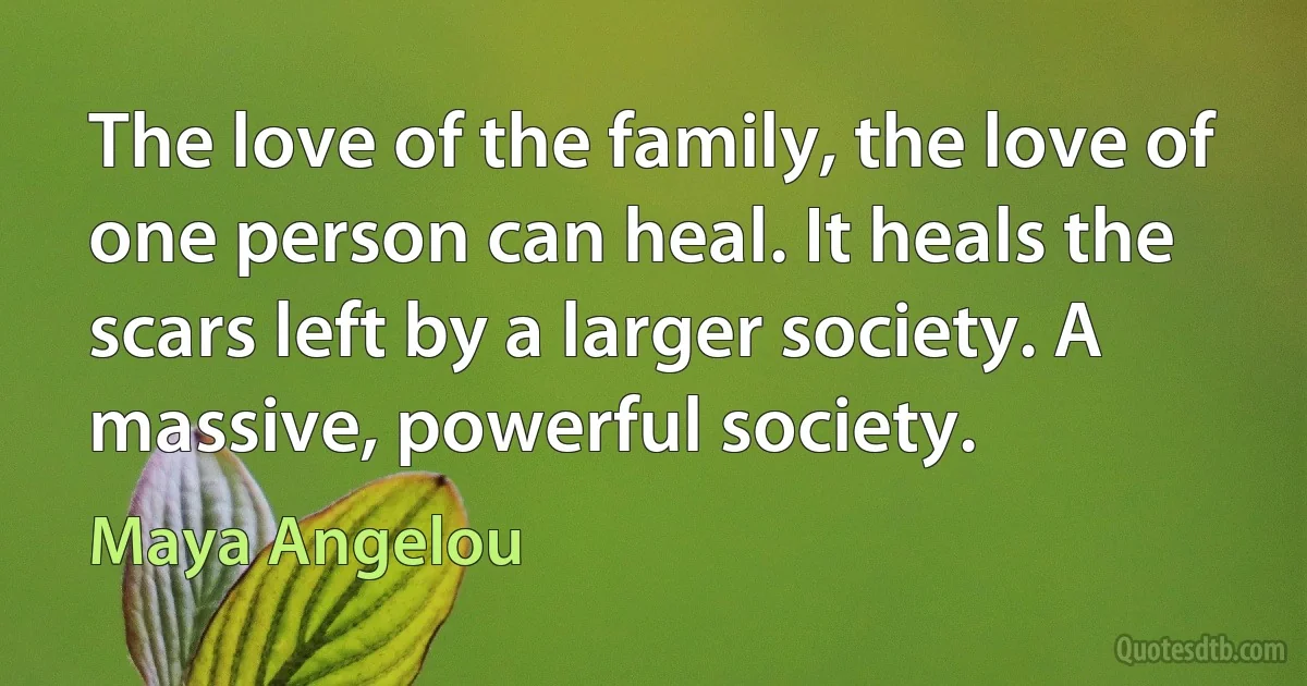 The love of the family, the love of one person can heal. It heals the scars left by a larger society. A massive, powerful society. (Maya Angelou)