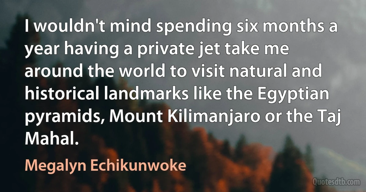 I wouldn't mind spending six months a year having a private jet take me around the world to visit natural and historical landmarks like the Egyptian pyramids, Mount Kilimanjaro or the Taj Mahal. (Megalyn Echikunwoke)