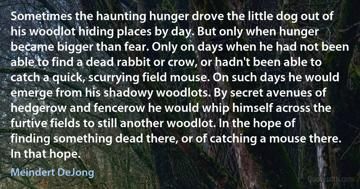 Sometimes the haunting hunger drove the little dog out of his woodlot hiding places by day. But only when hunger became bigger than fear. Only on days when he had not been able to find a dead rabbit or crow, or hadn't been able to catch a quick, scurrying field mouse. On such days he would emerge from his shadowy woodlots. By secret avenues of hedgerow and fencerow he would whip himself across the furtive fields to still another woodlot. In the hope of finding something dead there, or of catching a mouse there. In that hope. (Meindert DeJong)