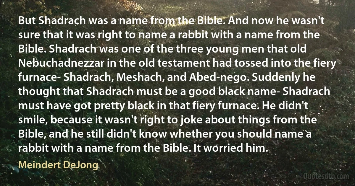 But Shadrach was a name from the Bible. And now he wasn't sure that it was right to name a rabbit with a name from the Bible. Shadrach was one of the three young men that old Nebuchadnezzar in the old testament had tossed into the fiery furnace- Shadrach, Meshach, and Abed-nego. Suddenly he thought that Shadrach must be a good black name- Shadrach must have got pretty black in that fiery furnace. He didn't smile, because it wasn't right to joke about things from the Bible, and he still didn't know whether you should name a rabbit with a name from the Bible. It worried him. (Meindert DeJong)